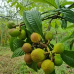 IMG-20230419-WA0001