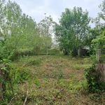 IMG-20230419-WA0003