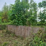 IMG-20230419-WA0005