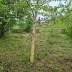 IMG-20230419-WA0007