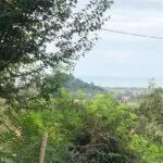 photo_1_2024-09-15_17-14-51