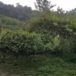 photo_3_2024-09-15_17-14-51