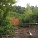 photo_5_2024-09-15_17-14-51