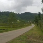 photo_6_2024-09-15_17-14-51