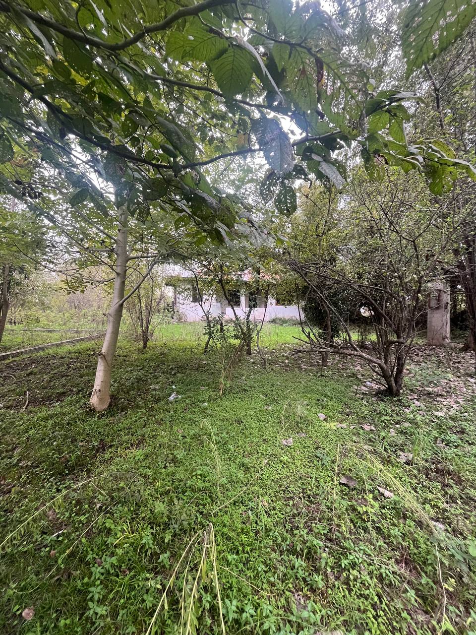 جاهای دیدنی گیلان