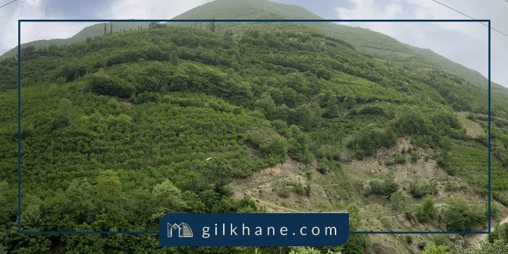 سرمایه گذاری در املاک گیلان