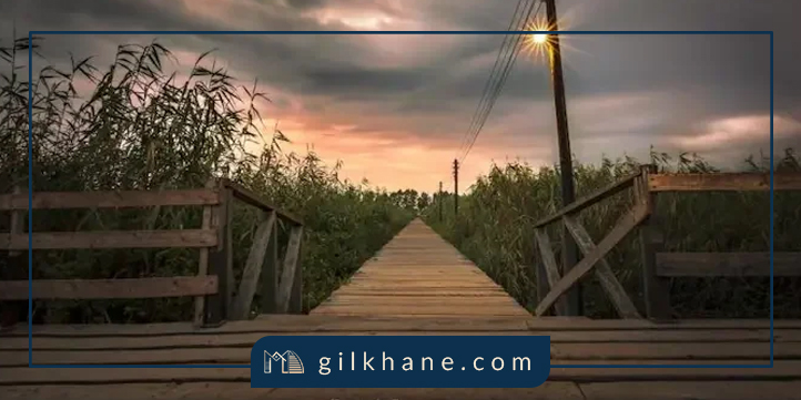 بندر کیاشهر