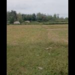 1000102620