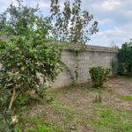 ۲۰۲۵۱۰۱۱_۱۰۵۲۴۴