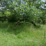 IMG_20251104_220002_206