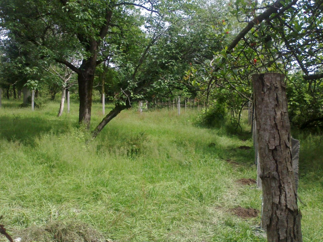 جاهای دیدنی گیلان