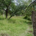 IMG_20251104_220002_326