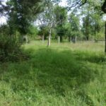 IMG_20251104_220004_225