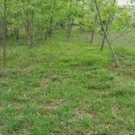 IMG_20251104_220010_360