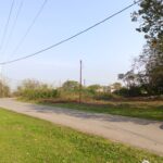 inbound714694478533153385