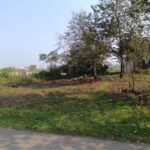 inbound8736139905661215